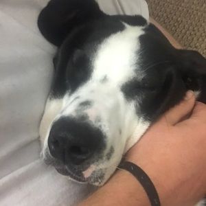 Meet your Posher, Chloe